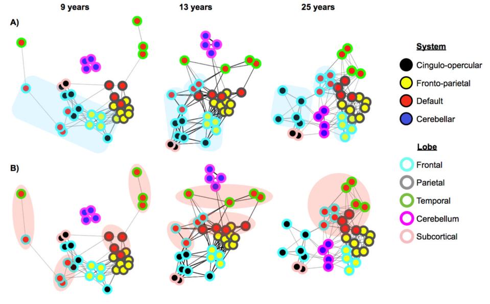 Evolution of brain networks in time!