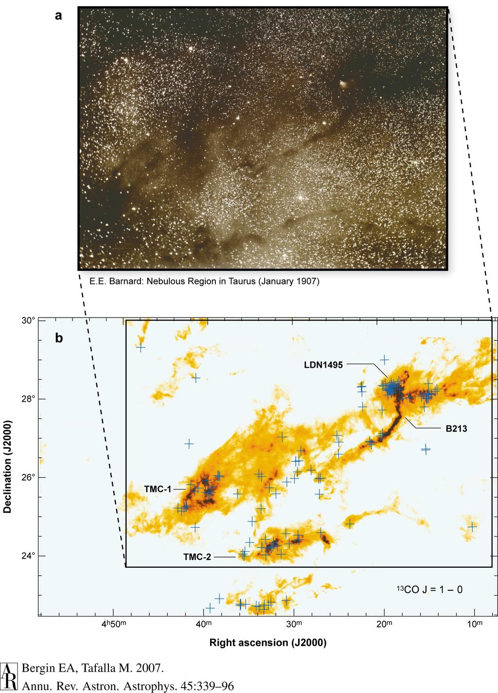 Molecular Cloud Complexes in the Milky Way: The Taurus Cloud 23,000 Solar Masses Crosses: young stars and protostars