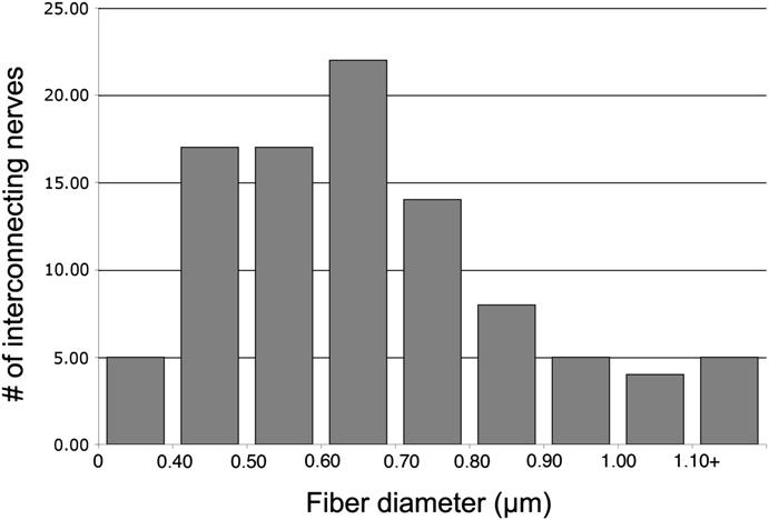C.F. Marfurt et al. / Experimental Eye Research 90 (2010) 478e492 489 Fig. 25. Interconnecting fiber diameters in the central cornea. Interconnecting fibers ranged in size from 0.29 to 1.82 mm.