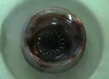 4) The visualization of the magnetic field trapped in a superconductor Using ferrofluid it is possible to visualize the magnetic field trapped in a