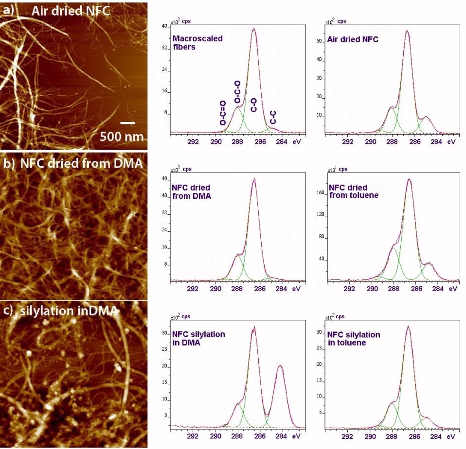 8 Nanofibrillar structure retained in cellulose compatible solvent Nanocellulose reactivity XPS indicates increase in silica content Increase in the relative abundance of C-C and C-Si bonds Degree of