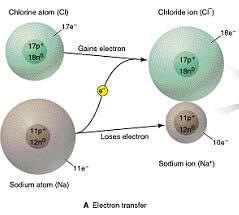 Formation of ions Metals form cations; non-metals form anions Driving