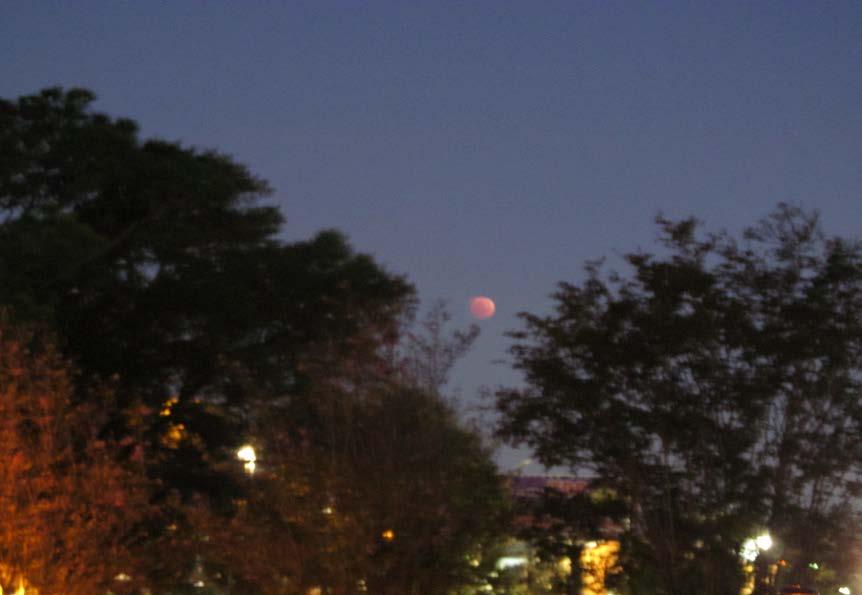 Sheryl Williams shot of the setting eclipsed moon over Pensacola State shows the dawn coming; our hopes of spotting the