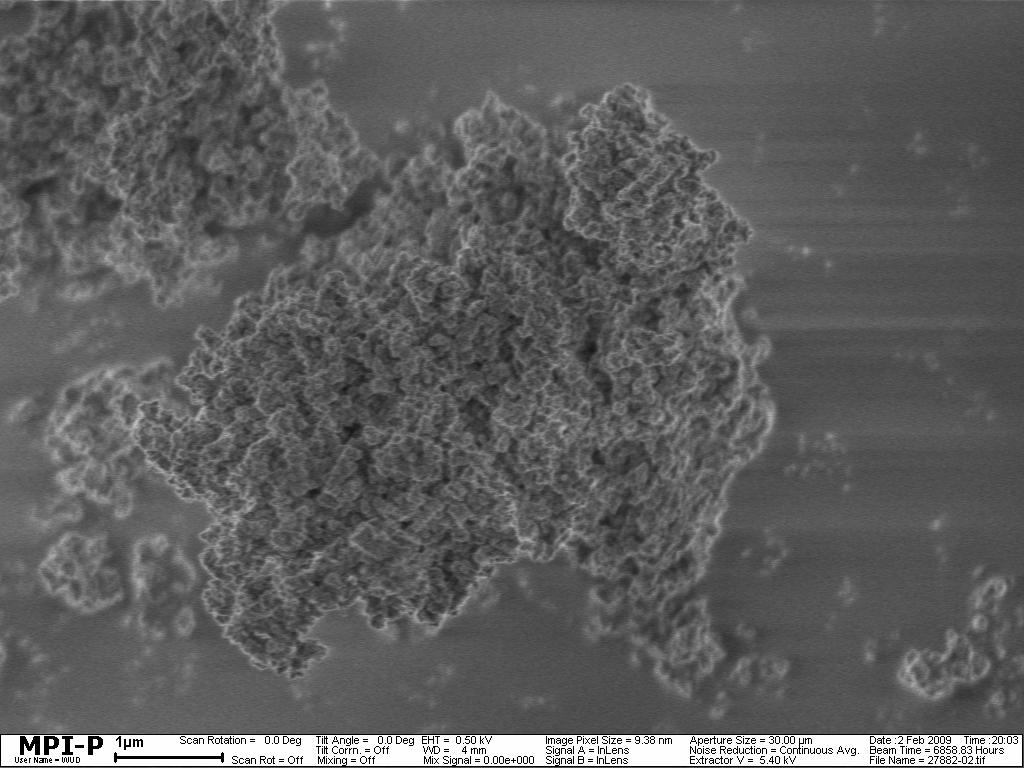 micrograph of SNW-3.