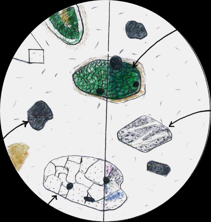 Laura Briggs 5.2 Composition The basalts, such as Torbhain Mor (Figure 27), have a groundmass rich in plagioclase but all olivine has been serpentinised, now only recognisable by the mineral shape.