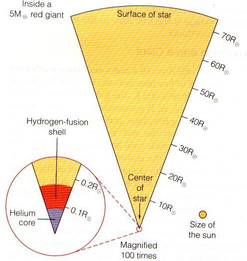 Giant and Supergiant Stars Luminosity steadily climbs as shell fusion of H accelerates Expanded star: very large radius => large luminosity ( L = 4pR 2 st 4
