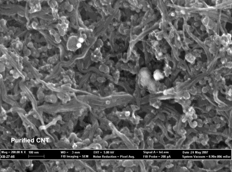 Figure 3 SEM images of the purified and NO3 modified SWCNT after ultrasonically dispersion in ethanol and filtrated through a gold-coated membrane filter CONCLUSION Determining ansen Solubility