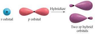 Molecular Shapes: Hybridized orbitals.