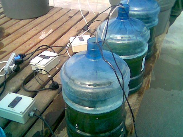 4x10-2 m³ of growth solution, containing Nannochloropsis oculata microalgae, were placed under heating, using resistance heaters, connected to thermostats, as shown in Fig. 3.