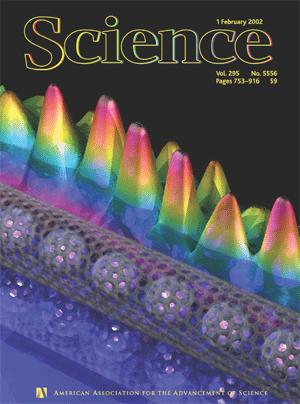 Cover page of Feb. 1, 2002 Science magazine.