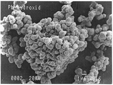 Structure and Thermal Properties of Lead Hydroxide 171 Figure 2. SEM electron microscopic photograph of lead hydroxide; enlargement is 5000 X. Figure 3.