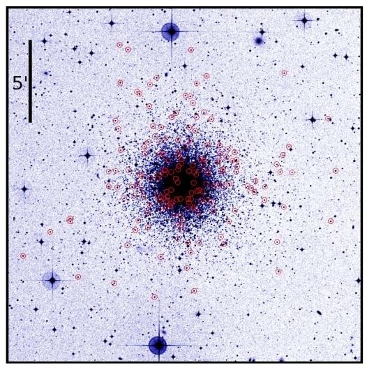 NGC 1904 173 stars selected for observations 146 stars with radial velocity