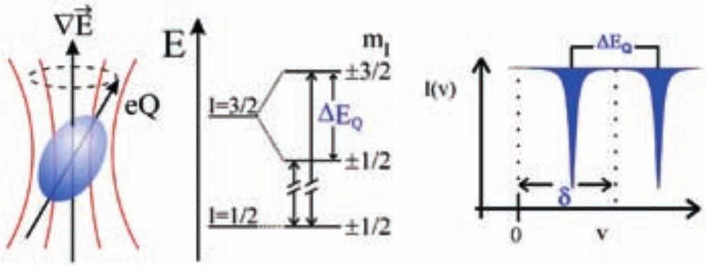 Electric quadrupole splitting For a system with axial symmetry E Q (I, m I ) = [1] eqe zz { 3m 2 4I (2I 1) I I (I + 1) } The electric quadrupole