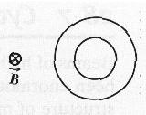 30 The figure here shows the circular paths of two particles that travel at the same speed in a uniform magnetic field B, which is directed into the page.