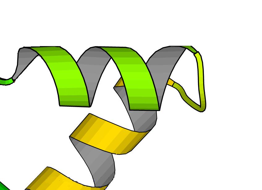 Helix (or αα) corners αα-corner two roughly perpendicular α-helices connected by a short loop Shortest loop is 3 residues long and