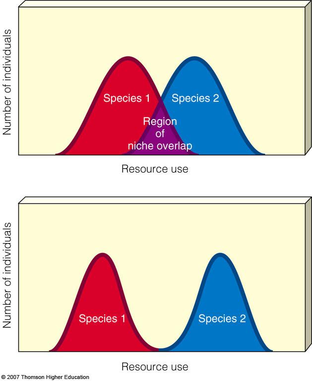 Niche Specialization Over time, species who compete over a shared resource tend to