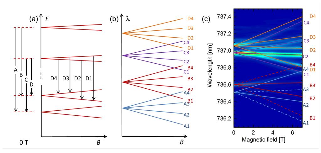 zero field, and introduces a convenient labelling scheme. Fig. B. 2. (c) shows all transitions labelled, overlapping with the Zeeman spectrum of an SiV ensemble in bulk (as shown in Fig.