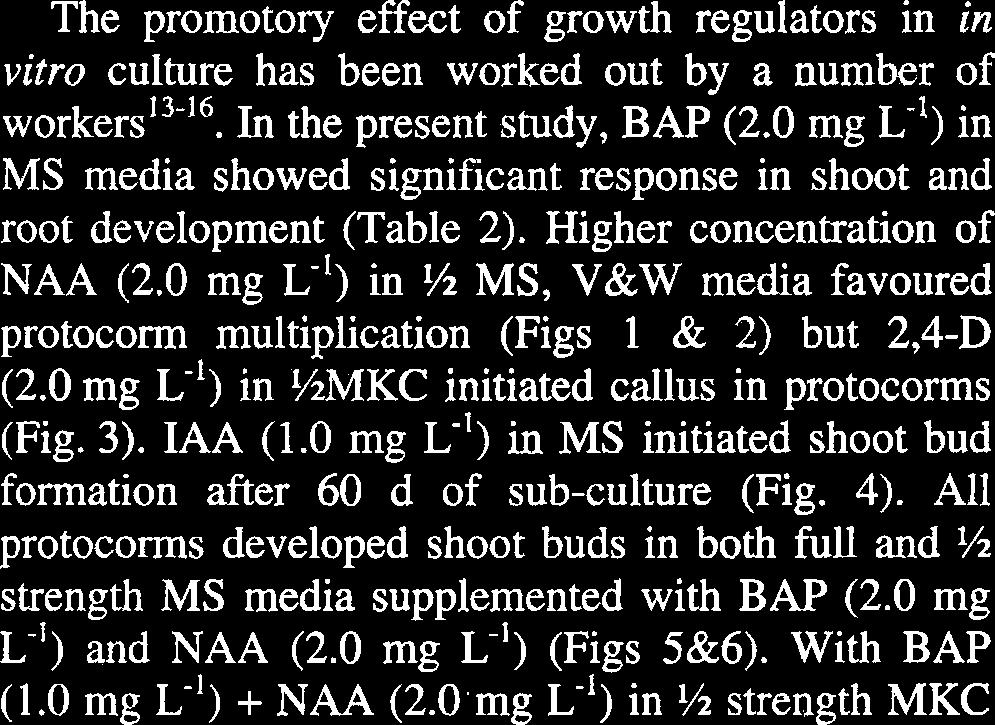 0 mg L-') in MS initiated shoot bud formation after 60 d of sub-culture (Fig. 4). All protocorms developed shoot buds in both full and?