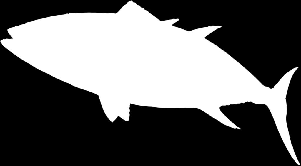 Introduction Atlantic bluefin tuna, Thunnus thynnus (Linnaeus, 1758) is a large migratory fish and an oceanic top predator, considered