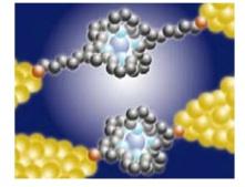 Single Molecule Magnets Physics -Individual molecule can be magnetized and exhibit magnetic