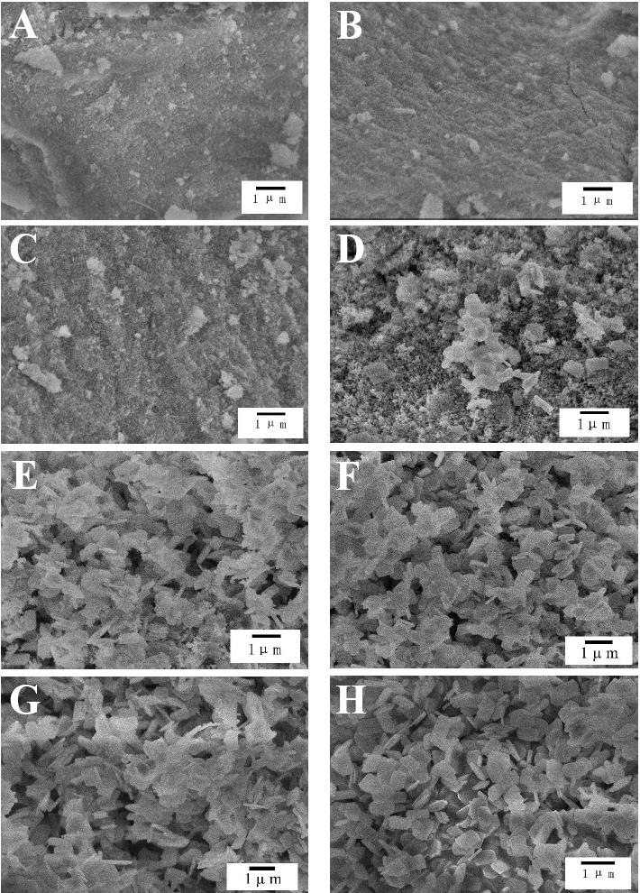 Figure S5. SEM imges of TS-1-S1 crystllized t 180 for (A) 2.0, (B) 2.5, () 3.0, (D) 3.5, (E) 4.0, (F) 6.0, (G) 12.