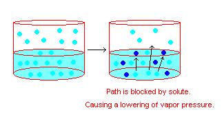 1. What is Vapor Pressure? Vapor Pressure & Raoult s Law This is the pressure above a solid or liquid due to evaporation. 2. Can a solute affect the vapor pressure of a solvent? Yes. 3.