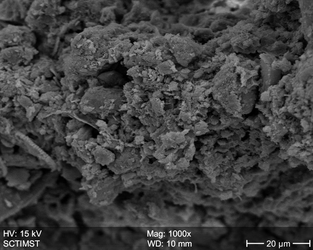 timesem image of clay with 1% polymer Figure 13. timesem image of clay with 2% polymer V.
