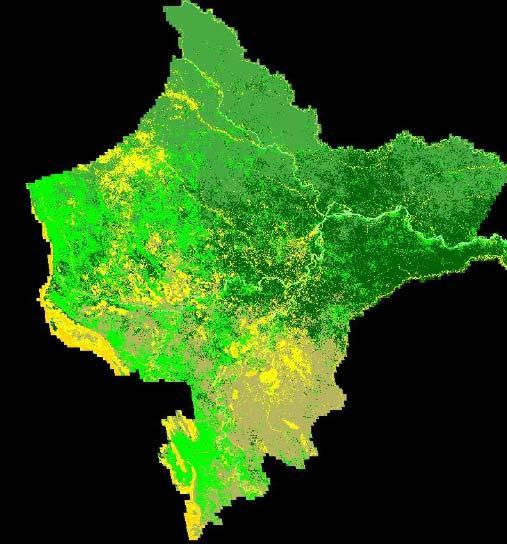 GENERATING INPUTS: LAND COVER MCD12Q1 captures variability within the Amazon Forest Phenology-based