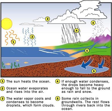 THE WATER CYCLE The water cycle, also known as the hydrologic cycle or H2O cycle, describes the continuous movement of water on, above and below the surface of the Earth.