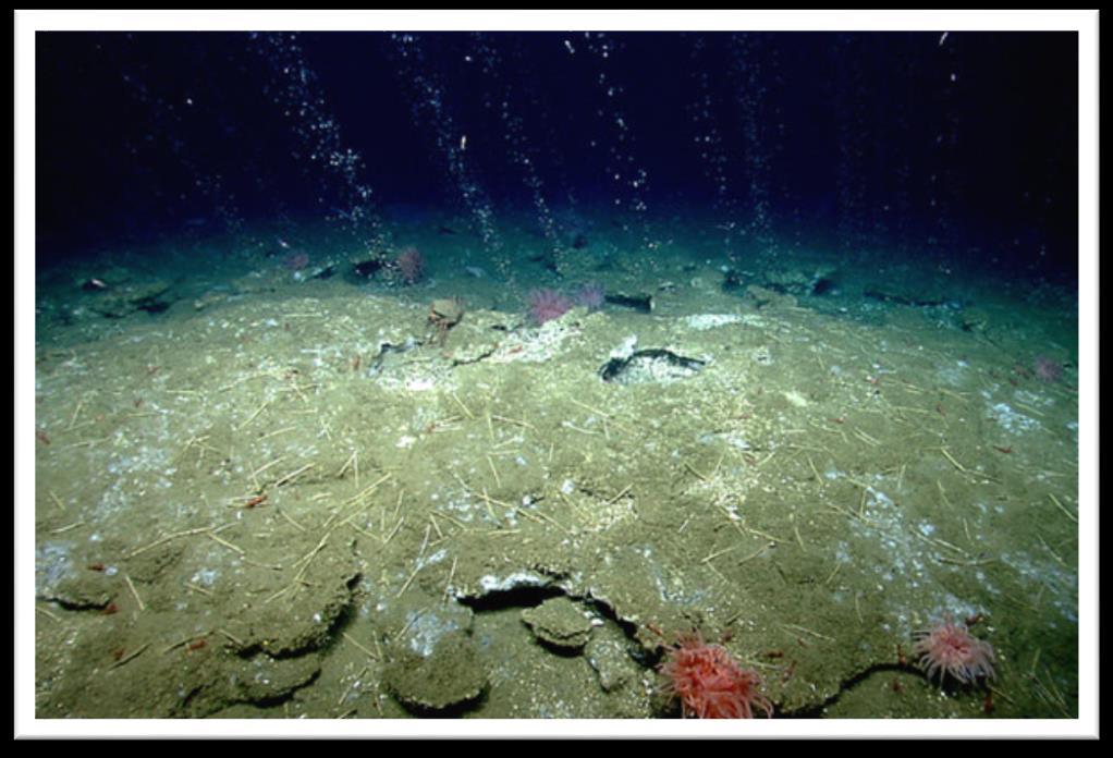 Seeps emit continuously into the ocean (similar to an oil spill and drift