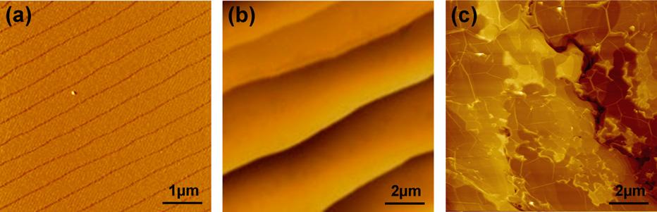 CARBON 50 (2012) 3026 3031 3029 Fig. 3 Tapping mode AFM topography images of (a) as-received SiC surface and (b) capped surface of the primary sample after high temperature annealing.