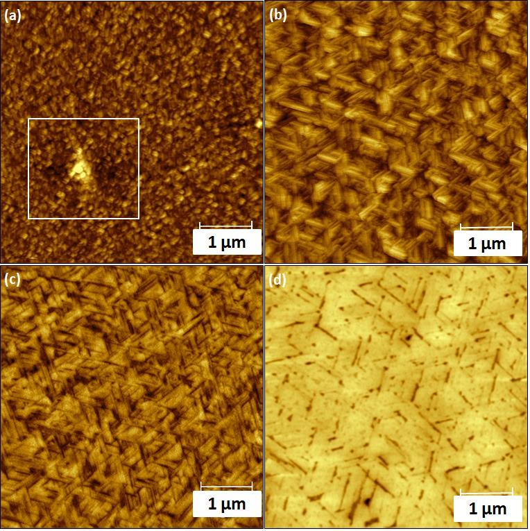 Figure 55: Surface morphology of (5 5)µm 2 STM images of epitaxial graphene growth on (a) 250 UP - unpolished 250nm thick 3C SiC (111) (Vb: 2V; I: 1nA); the white box marks the presence of a defect;