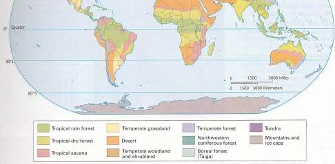 MAP 0⁰ TROPICAL RAINFOREST TROPICAL DRY FOREST TROPICAL SAVANA TEMPERATE GRASSLAND DESERT TEMPERATE