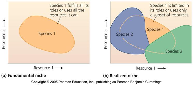 Niche: an individual s ecological role Fundamental