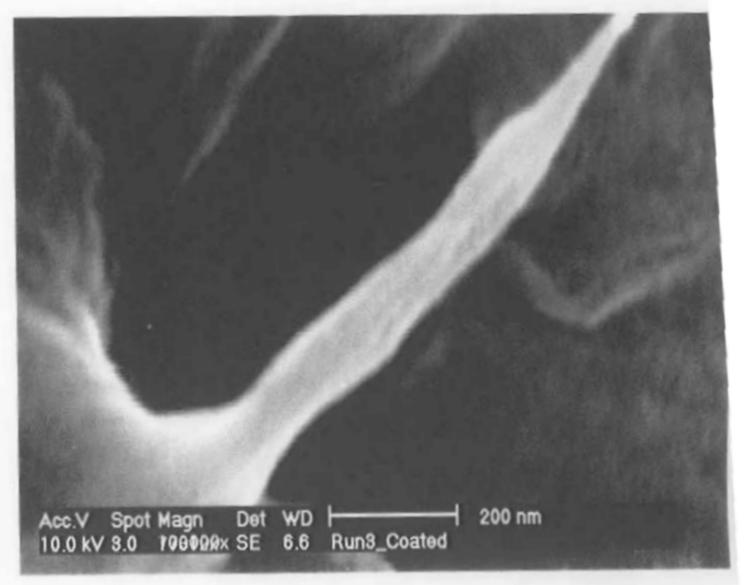 Vol.8, No.1 Nanoporous Structure and Enhanced Thermal Stability 21 Figure 9. SEM of a thorn from a fractured surface of bulk PI with 1 wt % HiPco.