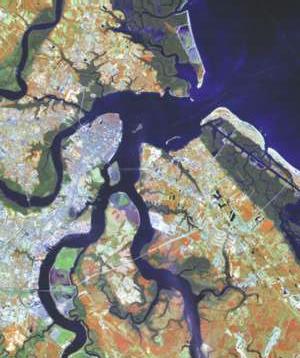 Arc/Info Applications Urban Growth Along South Carolina's Coast ArcView The figure above depicts the change