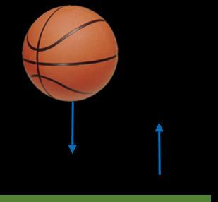 Thinking Exercise A basketball is dropped and bounces off the ground. Is momentum conserved?