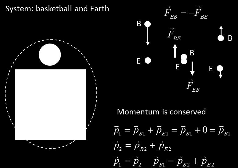 Answer System: Basketball Momentum is not conserved since a force acts upon the ball to change its momentum during the time it is in contact with the ground System: