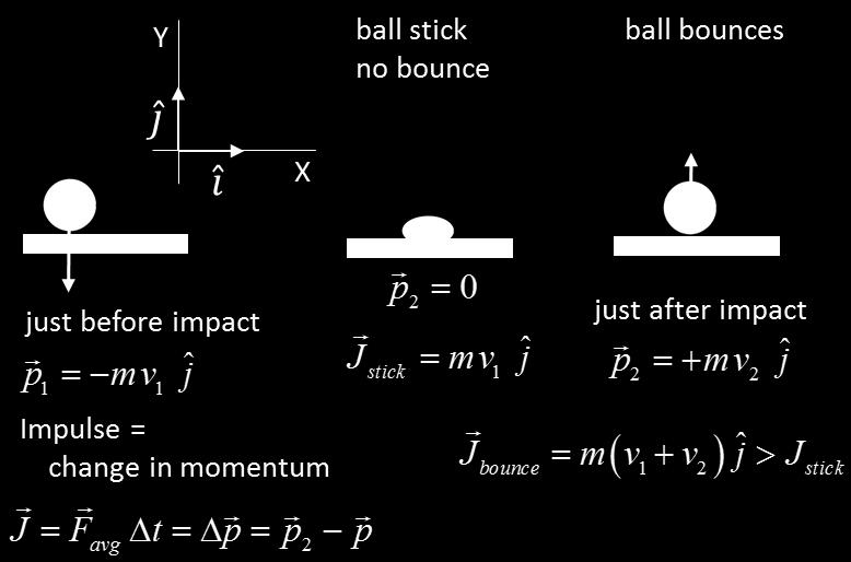 the ball when it bounces