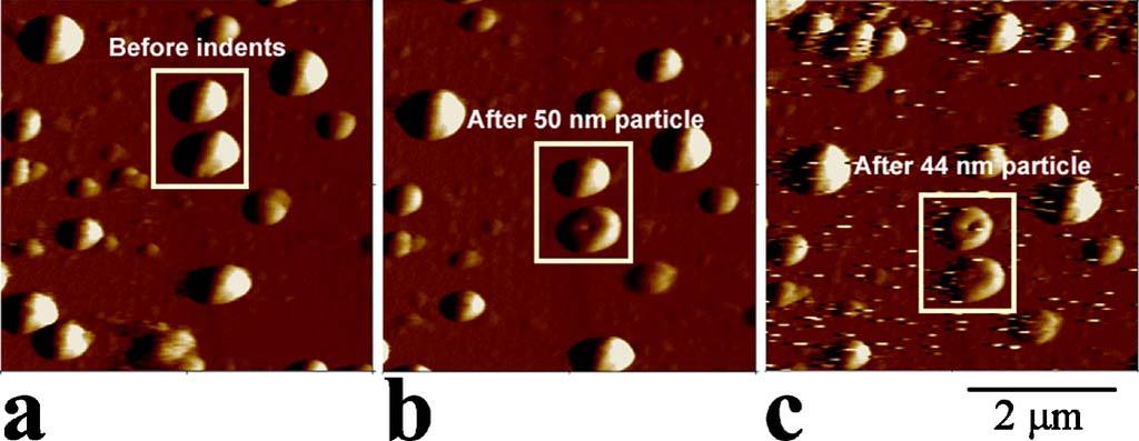 COMPRESSIVE STRESS EFFECTS ON NANOPARTICLE PHYSICAL REVIEW B 75, 1411 007 A.