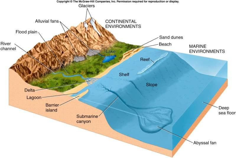 Sedimentary Rock Interpretation Depositional environment Examples: glacial valleys, alluvial