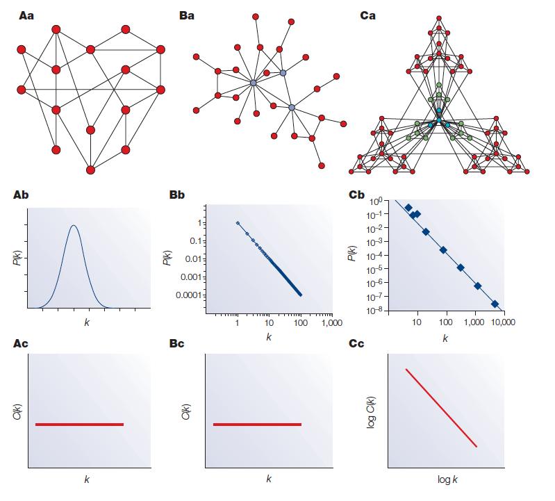 HIERARCHICAL NETWORKS On the surface, there seems to be a tension between high clustered modules and scale-free degree distribution Highly connected nodes would seem