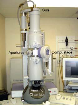 The Electron Microscope Transmission Electron Microscope (TEM) Detects internal structure of sample Thin samples, so beam is not entirely absorbed Cryo-EM: mostly phase object Projection of