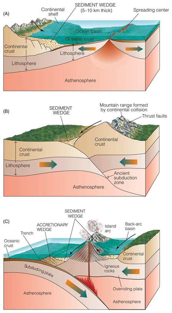 Clastic Sediments Deposition Locations where clastic sediment is deposited, low-lying areas, are