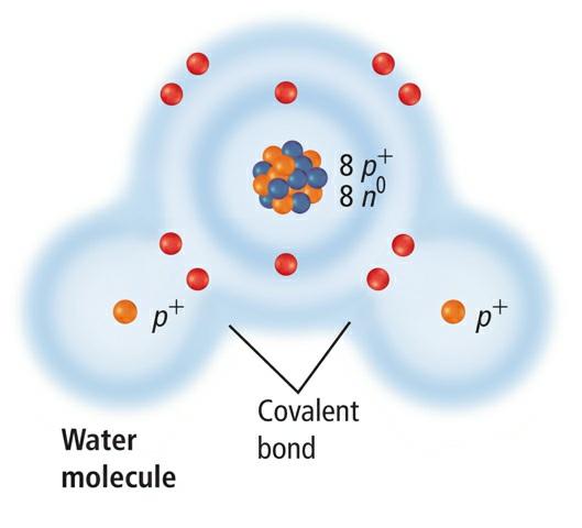 Covalent bonds When you were younger, you probably learned to share. If you had a book that your friend wanted to read as well, you could enjoy the story together.