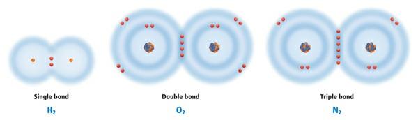 The chemical bond that forms when electrons are shared is called a covalent bond. Figure 9 illustrates the covalent bonds between oxygen and hydrogen that form water.
