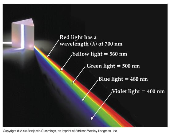 Light - Electromagnetic Spectrum Visible light is actually superposition of
