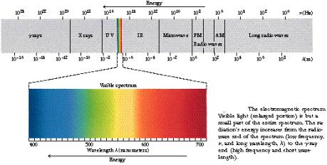 Electromagnetic Spectrum Spectrum: Visible light is one component of a gamut of radiation.