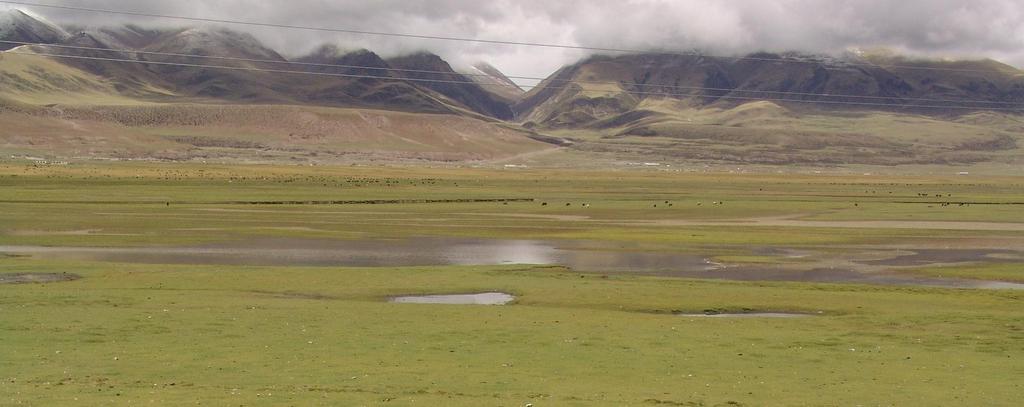 Example: Dam Shung Valley Field Tripp Tibet 2006 Ecosystem Services of the wetland complex Water