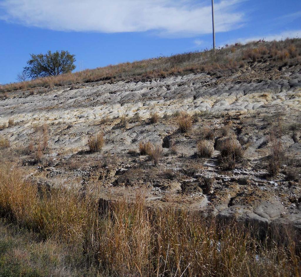 Cretaceous, Dakota Formation, Terra Cotta Member South Side of I-70, Salina County, Kansas Written By: